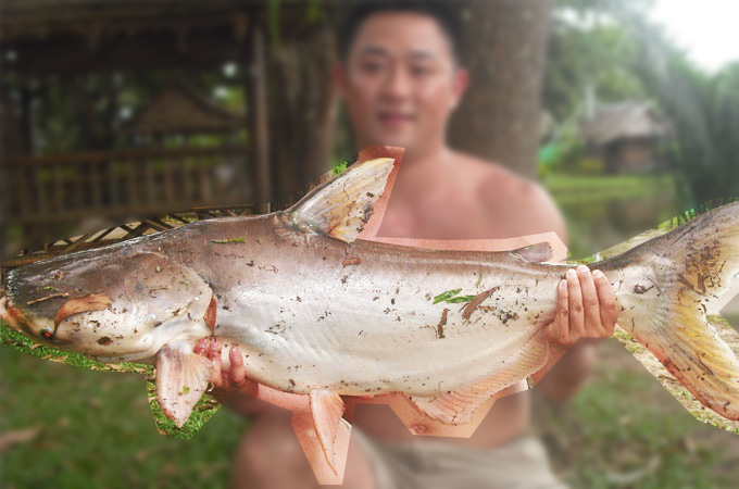 プーケットフィッシングパーク / PHUKET FISHING PARK